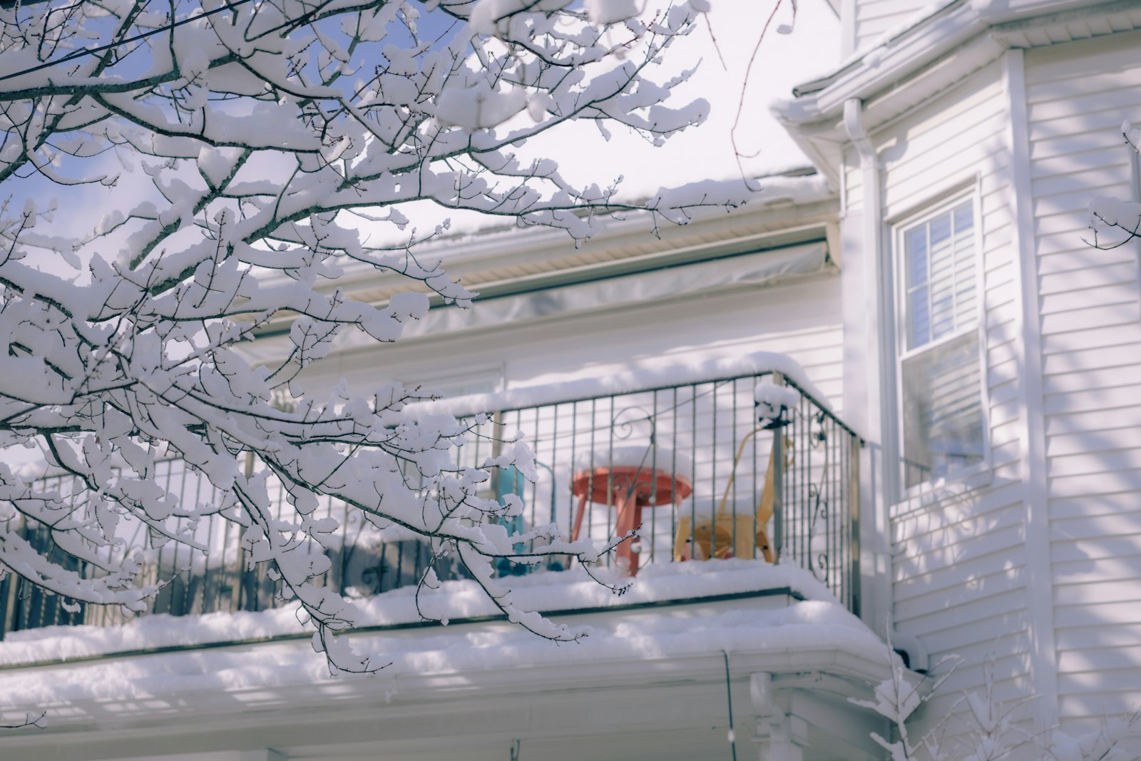 Snow-covered backyard in St. Catharines